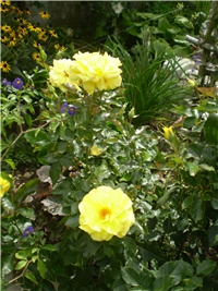 1dfcd794-Picture 6558.jpg